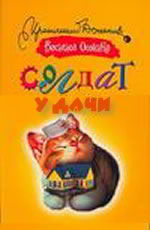 Солдат у дачи Осокина В